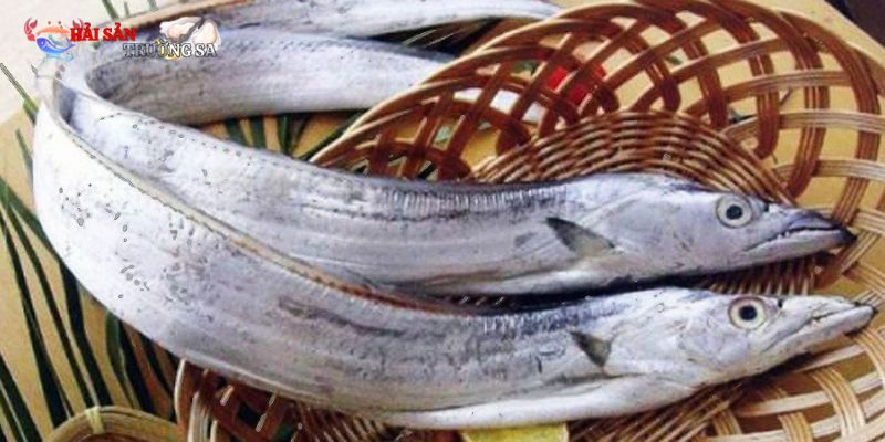 Những con cá tươi ngon, sẵn sàng cho những món ăn hấp dẫn
