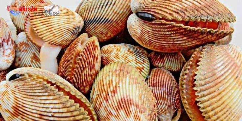 Nguyên liệu chính cho những món hải sản hấp dẫn
