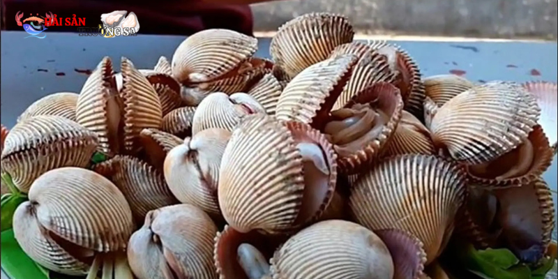Món sò dương nướng mỡ hành thơm lừng