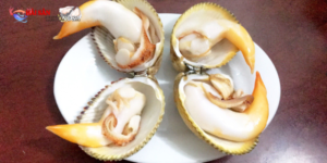 Chợ hải sản Vũng Tàu – nơi bạn có thể tìm thấy những con sò tươi ngon