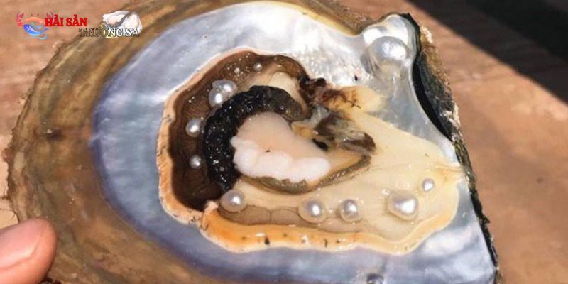 Món ăn thanh vị, giữ trọn độ ngọt tự nhiên của sò, thơm lừng mùi sả
