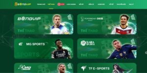 Thể Thao Bongvip - Sân Chơi Đỉnh Cao Cho Những Tín Đồ Đam Mê