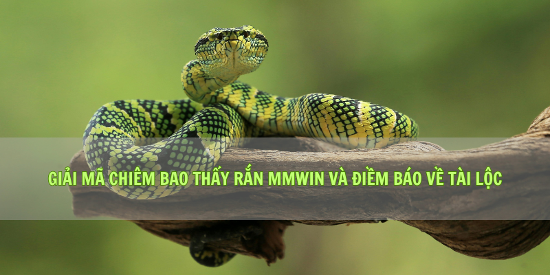 Giải Mã Chiêm Bao Thấy Rắn Mmwin Và Điềm Báo Về Tài Lộc